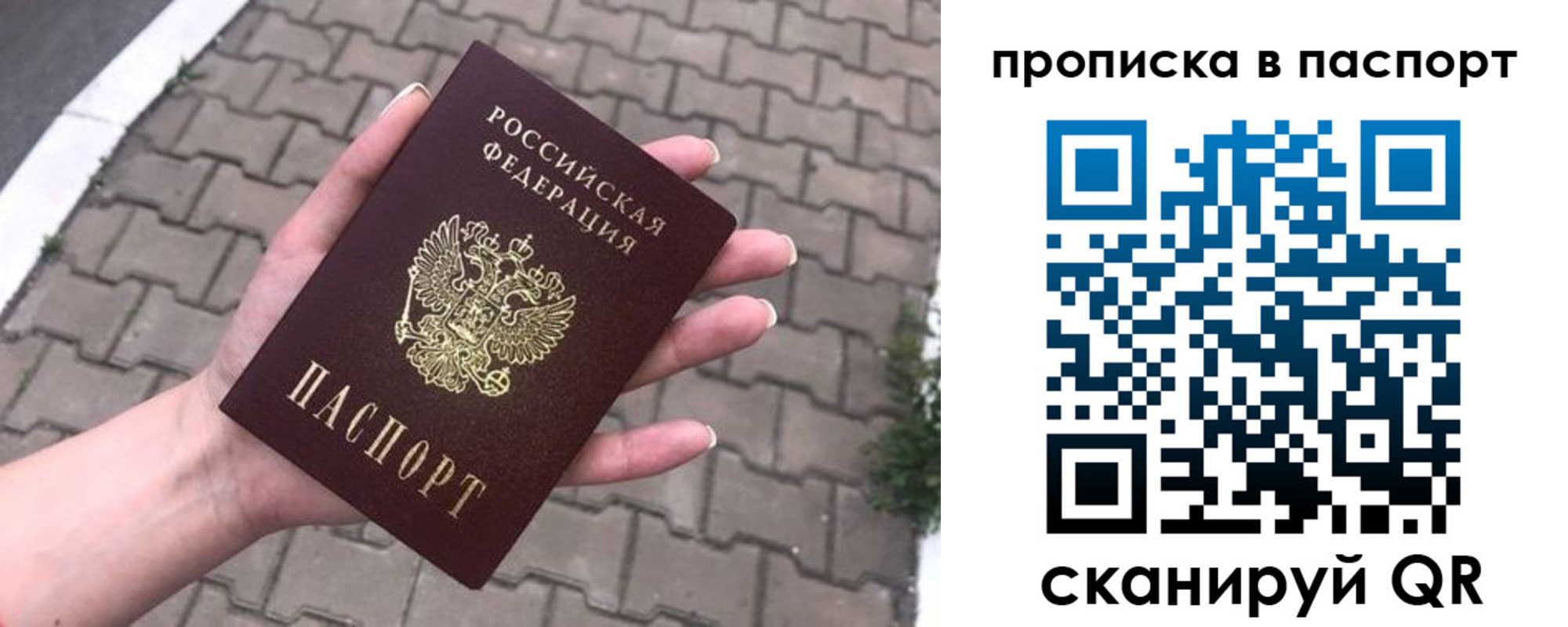 прописка поиск в Новодвинске