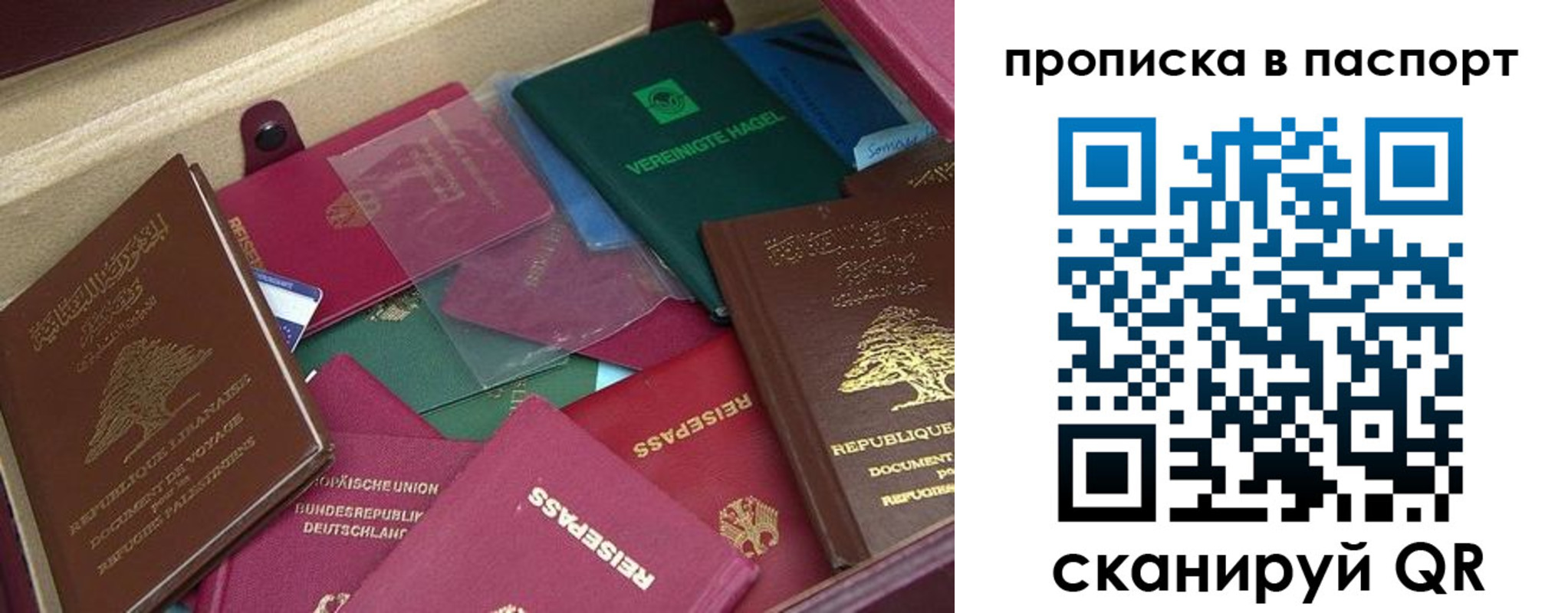 временная регистрация для школы в Новодвинске